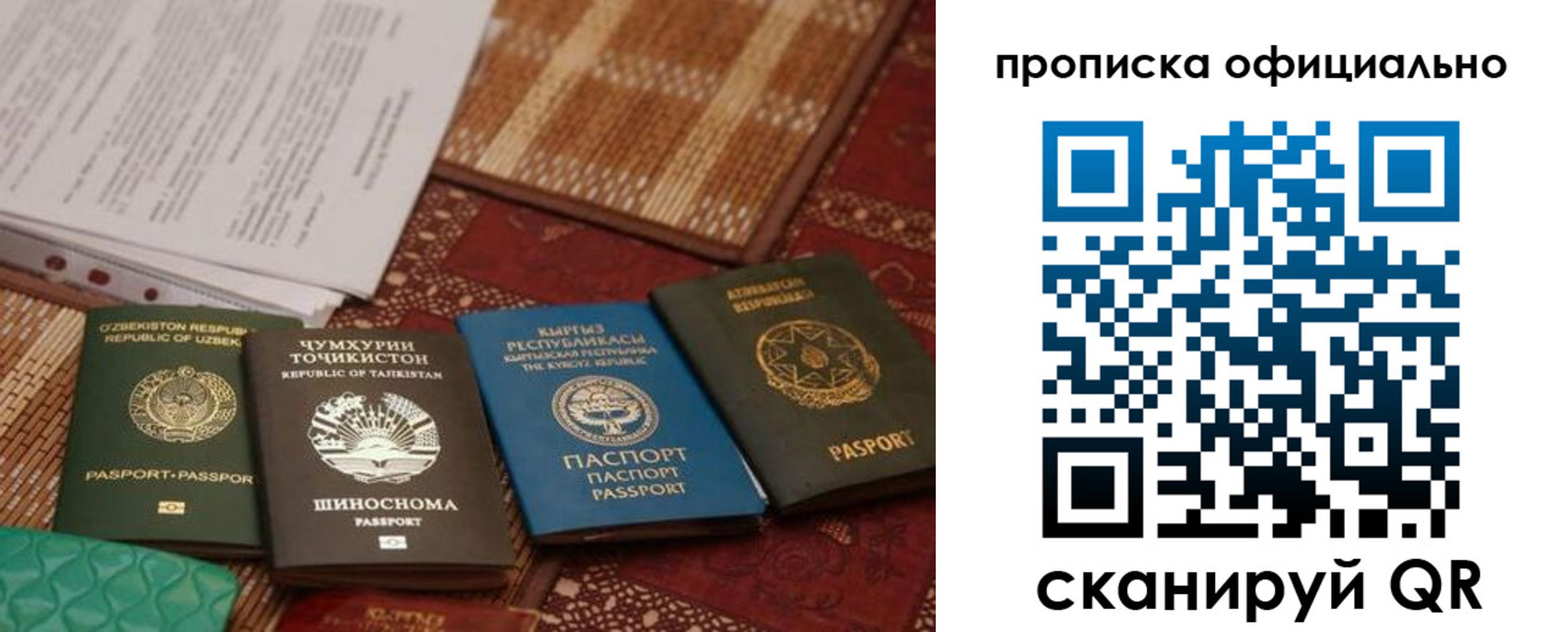 где прописаться в Электростали